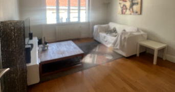 jade pet sitter à Lyon 69007_7