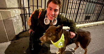 tom pet sitter à PARIS 16 75016_5