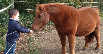 laurent pet sitter à HERBLAY SUR SEINE 95220_9