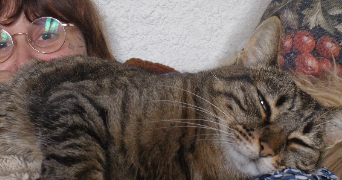 victoria pet sitter à L ISLE SUR LA SORGUE 84800_1