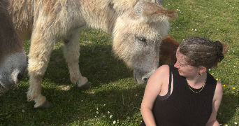 elfie pet sitter à ISSOUDUN 36100_7
