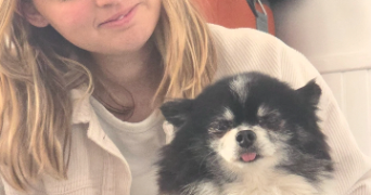 sandy pet sitter à LYS HAUT LAYON 49560_2