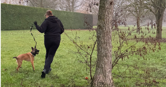 laura pet sitter à GIRONCOURT SUR VRAINE 88170_2