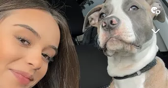 marie pet sitter à LE MESNIL LE ROI 78600