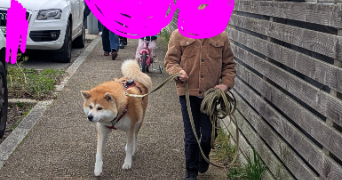 mélanie pet sitter à COUERON 44220_2