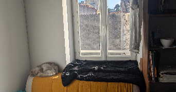 arthur pet sitter à AUBAGNE 13400_1