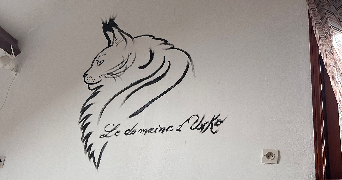 ludivine pet sitter à ESCAUTPONT 59278_6