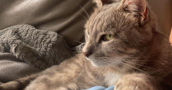 léa pet sitter à FREJUS 83600_4