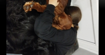 zélie pet sitter à ECULLY 69130_1