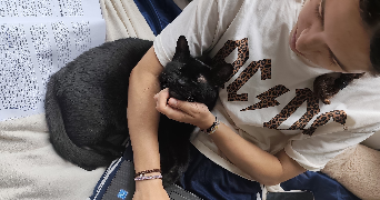 olessia pet sitter à LUNEVILLE 54300_2