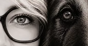 corinne dog sitter à STE MARIE DE RE 17740