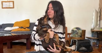 judith pet sitter à LILLE 59000