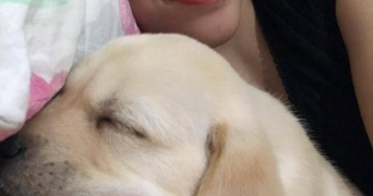 khawla dog sitter à PARIS 11 75011_7