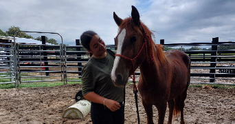 lylou pet sitter à ST DONAT SUR L HERBASSE 26260_3