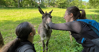 clara pet sitter à BORDEAUX 33800_3