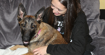 Elora pet sitter à LYON 08 69008_0