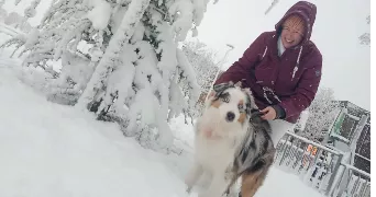 holly pet sitter à STE COLOMBE DE VILLENEUVE 47300