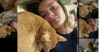 fannie pet sitter à PARIS 15 75015_0