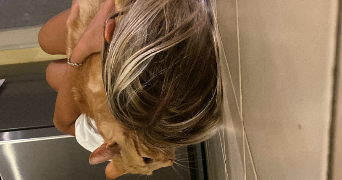 cali pet sitter à CHATEAUNEUF SUR ISERE 26300