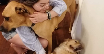 andrea pet sitter à MONT ST AIGNAN 76130_6