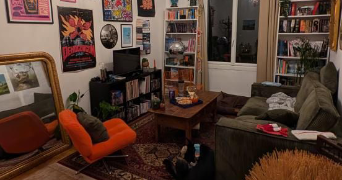 julie pet sitter à NANTES 44000_3