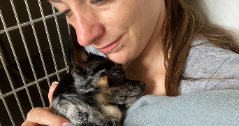 marlène pet sitter à Serignan 34410_1