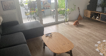 loris pet sitter à BEGLES 33130_3