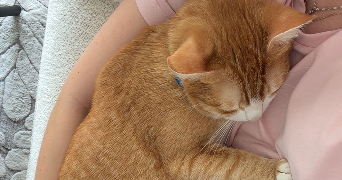 léa pet sitter à LA RAVOIRE 73490_1