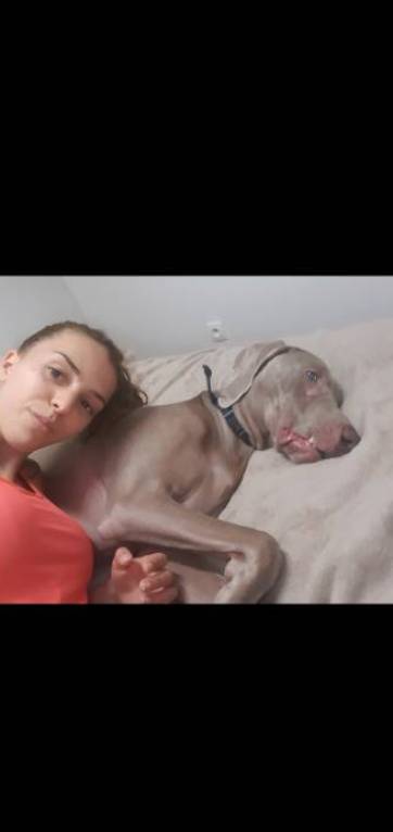 Jessica pet sitter à Algrange 57440_4