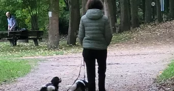 ana pet sitter à VERSAILLES 78000