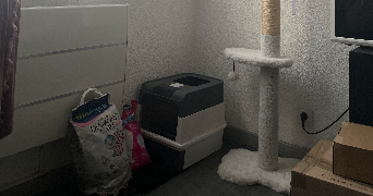 meriem pet sitter à VILLEURBANNE 69100_1