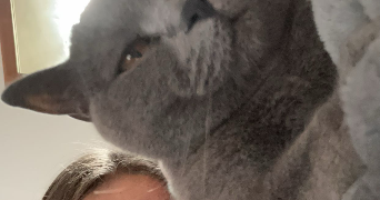 lou-ann pet sitter à LILLE 59800_3
