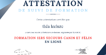 théa pet sitter à LES ALLUETS LE ROI 78580_3