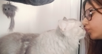 wafaa pet sitter à PARIS 16 75016_8