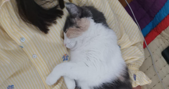 marjorie pet sitter à ST SEBASTIEN SUR LOIRE 44230_0