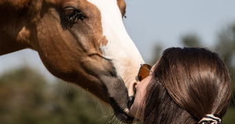 charlotte pet sitter à CHARTRES 28000_3