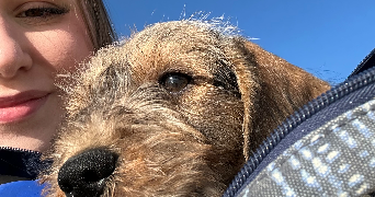 camille pet sitter à Brandérion 56700_2