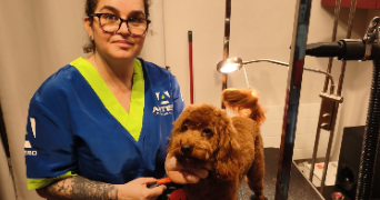 cirlene pet sitter à LE PECQ 78230_5