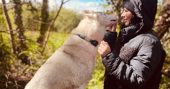 enora pet sitter à BREST 29200_3
