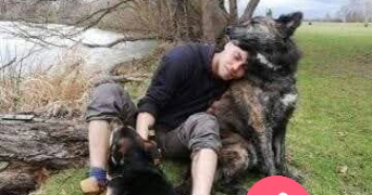 gerald pet sitter à FEURS 42110_0