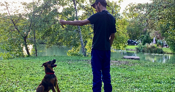 louwan pet sitter à SERMAISE 91530_2