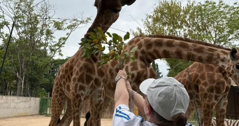 susie pet sitter à AIX LES BAINS 73100_3