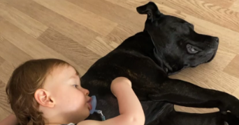 mégane pet sitter à BRY SUR MARNE 94360_0