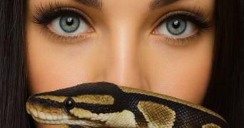 séverine pet sitter à COURCELLES CHAUSSY 57530_2