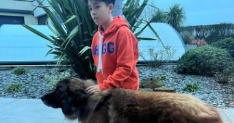 yann dog sitter à PARIS 13 75013_3