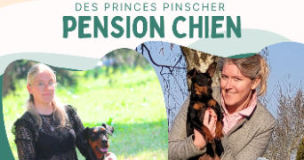 chloe pet sitter à LIZERAY 36100_2
