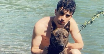 brian pet sitter à ALBERTVILLE 73200_0