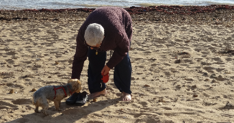 marie christine dog sitter à SOULLANS 85300_1