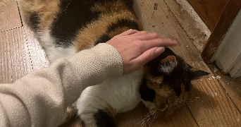 adèle pet sitter à MARSEILLE 09 13009_1
