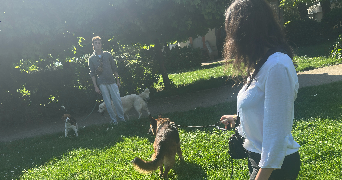 eynola pet sitter à TOULOUSE 31500_6